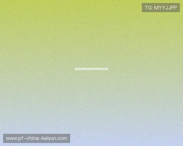 国际篮球联赛暑期训练营：体能与技战术同步提升