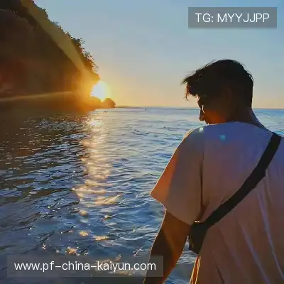 朱晶丹